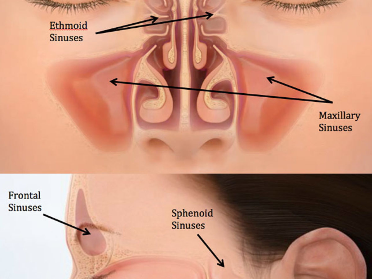 Rhinoplasty Cost In Chennai Medcontour