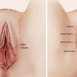 Best Vaginoplasty OR Vagina Tightening Surgery, Cost, Surgeon and Hospital in Bangalore
