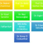 Best Plastic Surgeons in Turkey