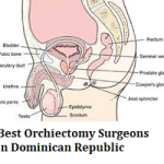 Best Orchiectomy Surgeons in Dominican Republic
