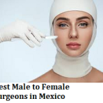 Best Male to Female Surgeons in Mexico