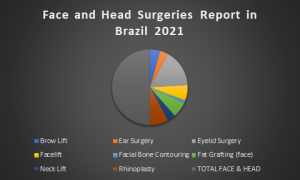 Face and Head Surgeries Report in Brazil 2021